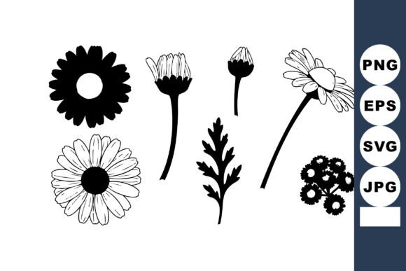 Black and White Daisy Flowers Vector for Graphics and Illustrations