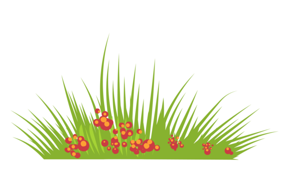 Blooming Grass with Red Flowers Graphics for Branding