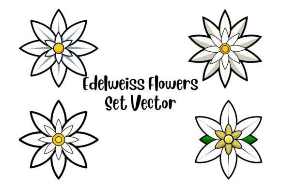 Edelweiss Flowers Set Vector for Modern Design
