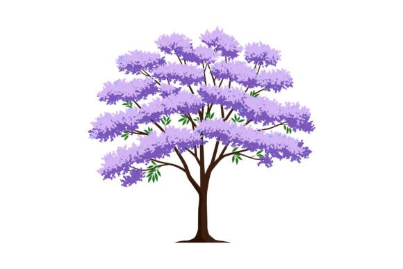 Peaceful Jacaranda Graphics for Modern Editorial Design