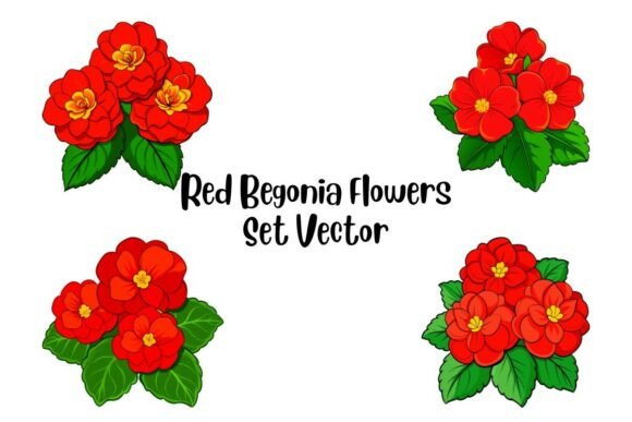Red Begonia Flowers Set Vector