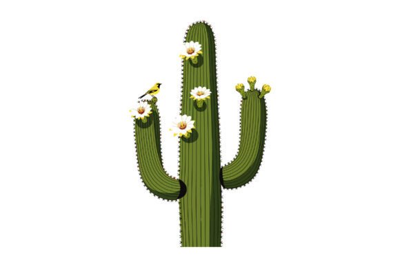 Saguaro Cactus Graphics for Branding and Marketing
